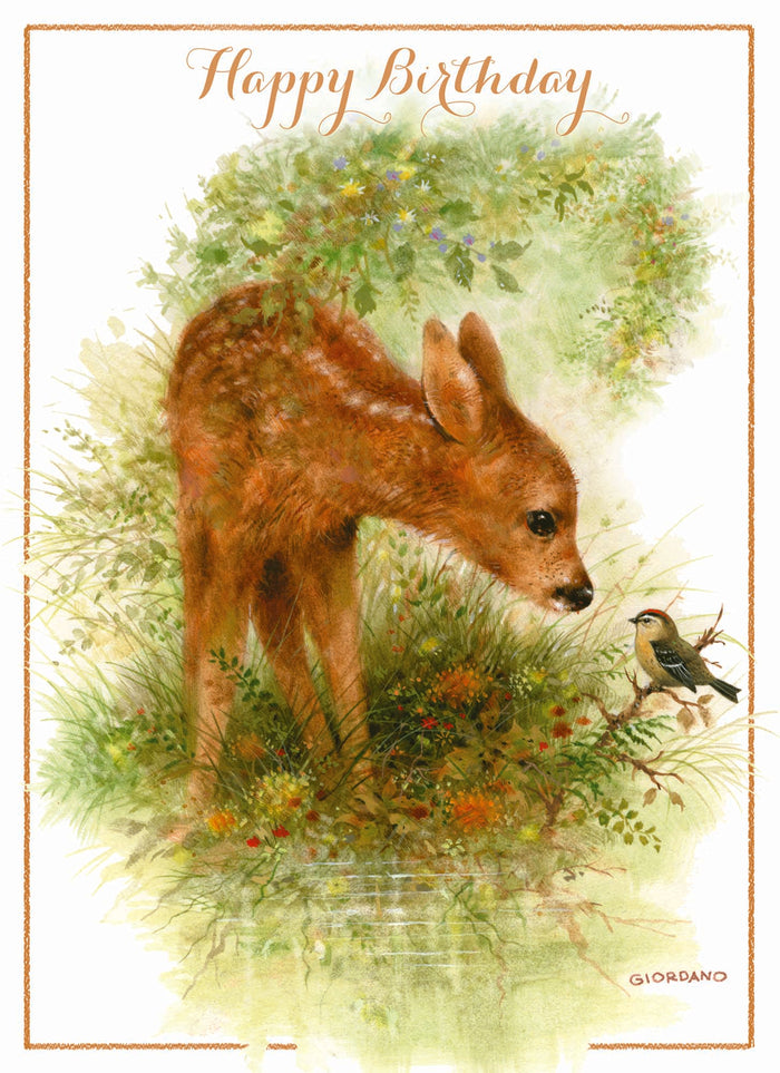 Christian Birthday Cards by Shared Blessings-Wee Wildlife, 12 Boxed Greeting Cards