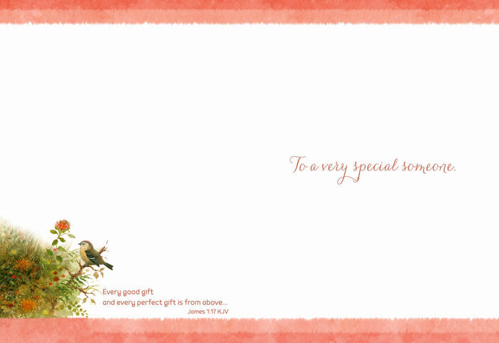 Christian Birthday Cards by Shared Blessings-Wee Wildlife, 12 Boxed Greeting Cards