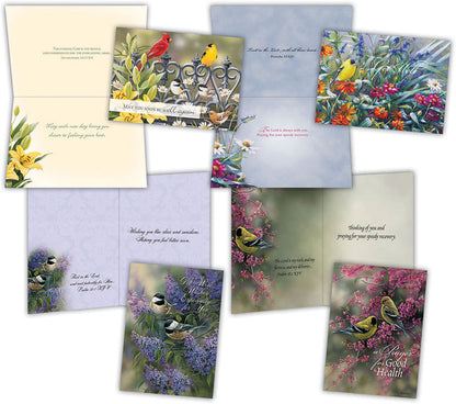 4 get well cards with birds and kjv scripture