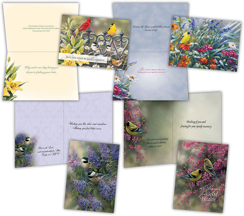4 get well cards with birds and kjv scripture