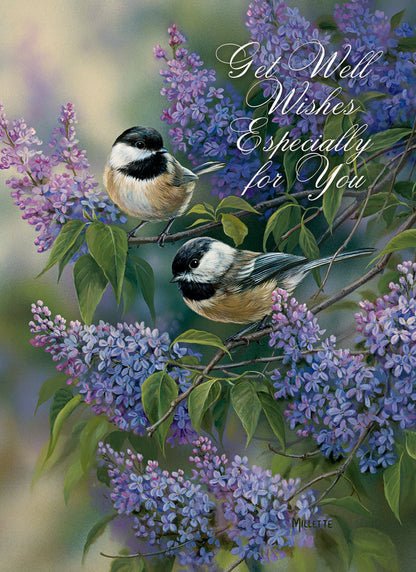 Christian Greeting Cards by Shared Blessings | GET WELL III - Assorted Get Well Cards, Box of 12