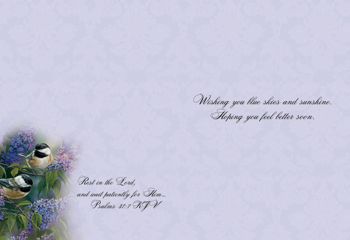 Christian Greeting Cards by Shared Blessings | GET WELL III - Assorted Get Well Cards, Box of 12