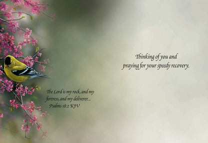 Christian Greeting Cards by Shared Blessings | GET WELL III - Assorted Get Well Cards, Box of 12