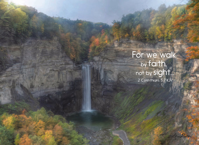 Christian Praying for You Cards by Shared Blessings - Waterfalls, 12 Cards and Envelopes