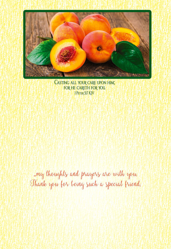 Christian Thinking of You Cards by Shared Blessings- Fruitful Blessings - 12 Cards and Envelopes