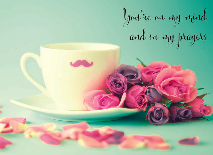 Christian Thinking of You Cards by Shared Blessings- Gentle Thoughts 12 Cards and Envelopes