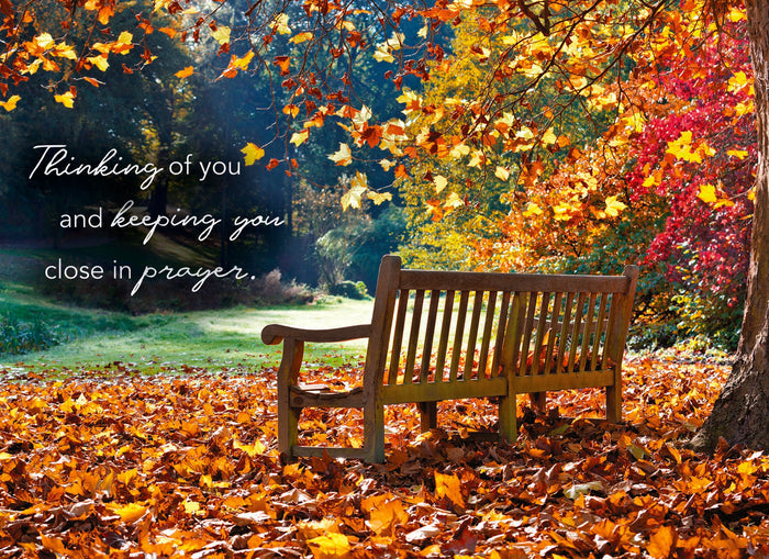 Christian Thinking of You Cards by Shared Blessings- Pathways - 12 Cards and Envelopes