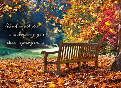 Christian Thinking of You Cards by Shared Blessings- Pathways - 12 Cards and Envelopes