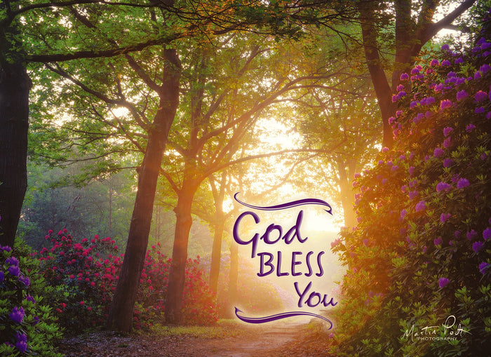 Christian Thinking of You Cards by Shared Blessings- Peaceful Paths, 12 Cards and Envelopes