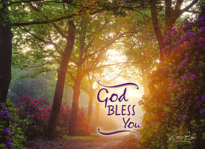 Christian Thinking of You Cards by Shared Blessings- Peaceful Paths, 12 Cards and Envelopes