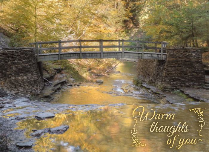 Christian Thinking of You Cards by Shared Blessings- Peaceful Paths, 12 Cards and Envelopes