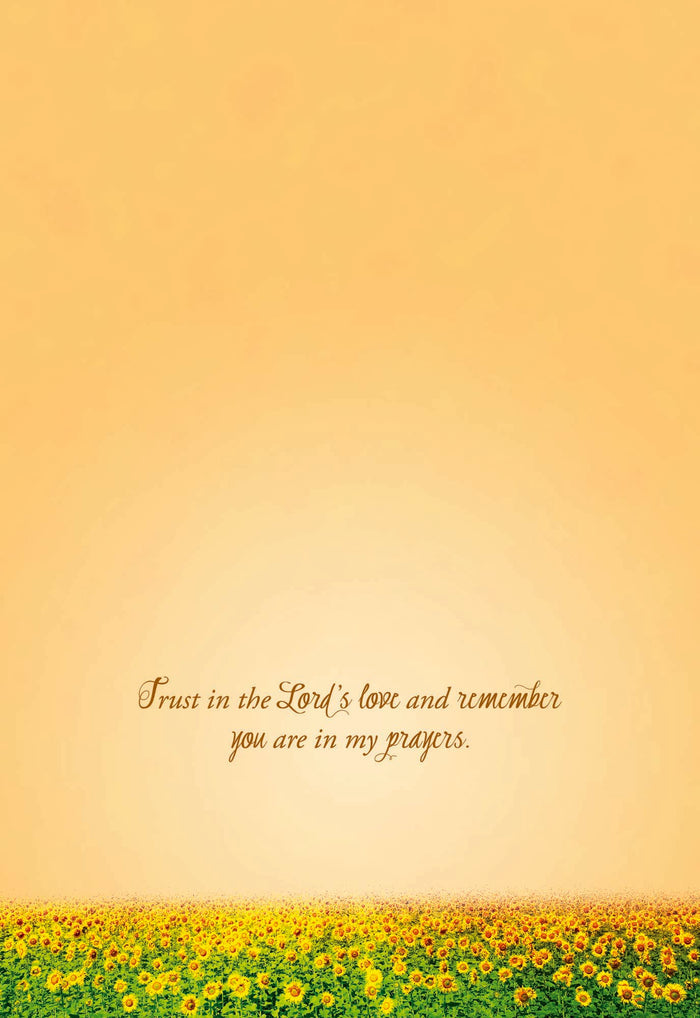 Christian Thinking of You Cards by Shared Blessings- Sunsets, 12 Cards and Envelopes