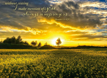 Christian Thinking of You Cards by Shared Blessings- Sunsets, 12 Cards and Envelopes