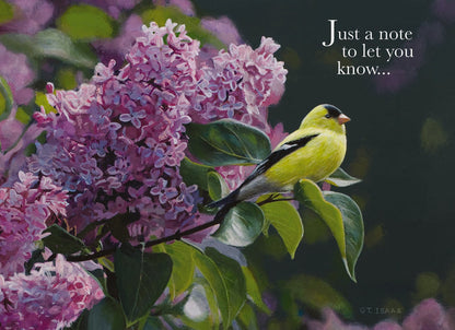 Christian Thinking of You Cards by Shared Blessings, 12 Cards and Envelopes