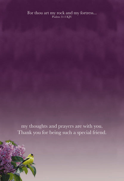 Christian Thinking of You Cards by Shared Blessings, 12 Cards and Envelopes