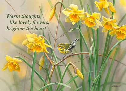Christian Thinking of You Cards by Shared Blessings, 12 Cards and Envelopes