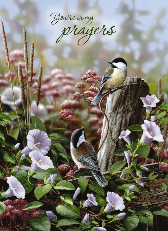 Christian Thinking of You Cards by Shared Blessings, Signs of Spring  - Box of 12 Cards and Envelopes