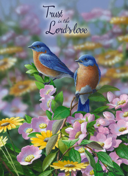 Christian Thinking of You Cards by Shared Blessings, Signs of Spring  - Box of 12 Cards and Envelopes