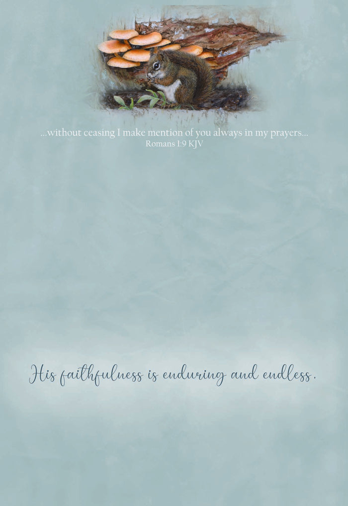 Christian Thinking of You Cards by Shared Blessings, Woodlands, Box of 12