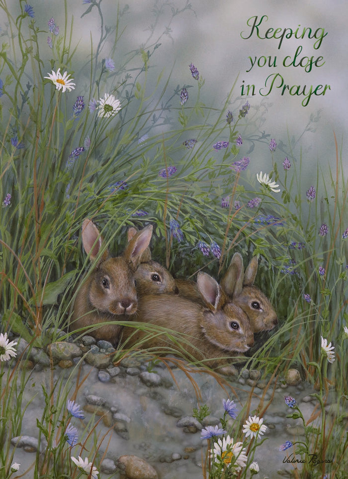 Christian Thinking of You Cards by Shared Blessings, Woodlands, Box of 12
