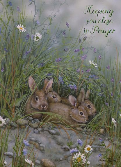 Christian Thinking of You Cards by Shared Blessings, Woodlands, Box of 12