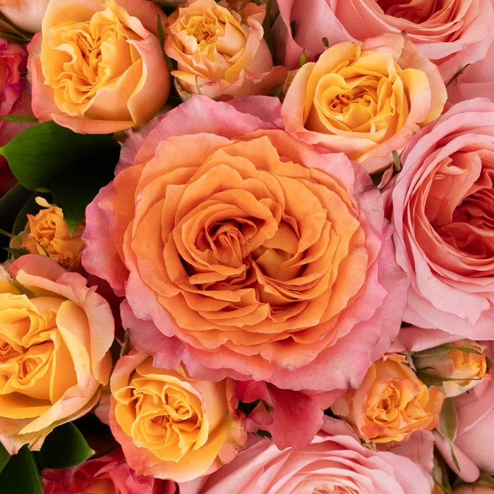 Coral Gardens Flower Centerpieces Stem - Image
