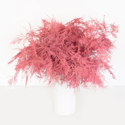 Coral Pink Enhanced Plumosa Fern Greenery Vase - Image