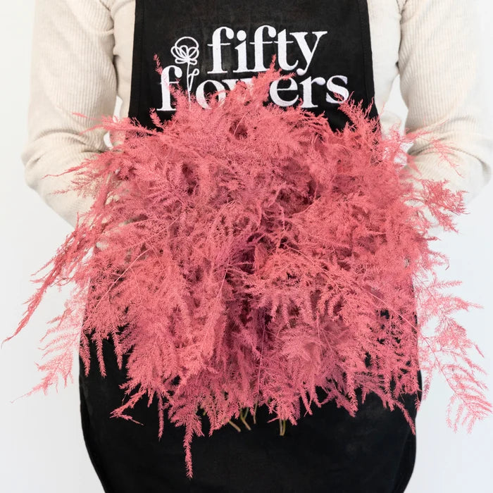 Coral Pink Enhanced Plumosa Fern Greenery Apron - Image