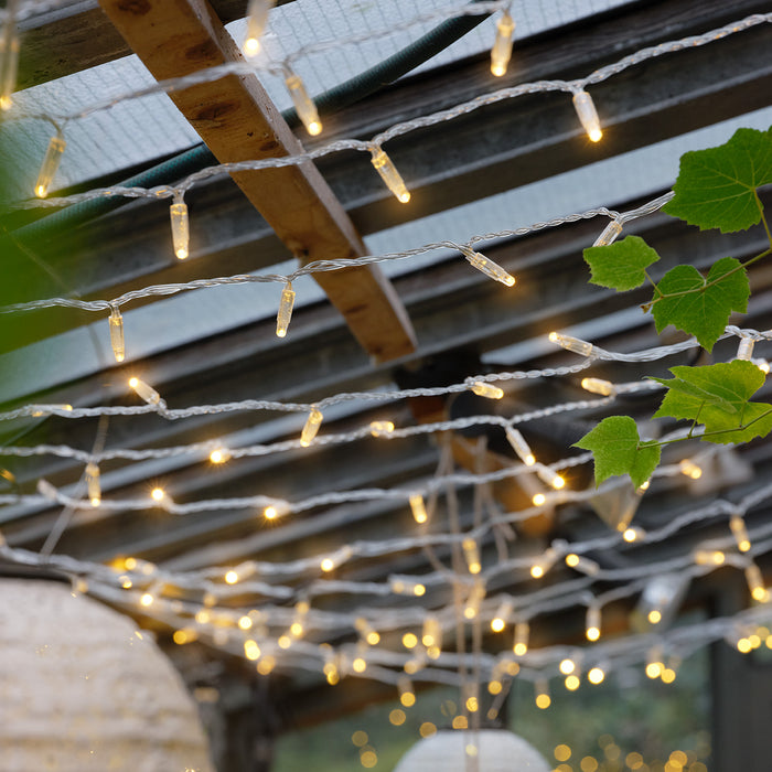 Curtain lights hung on the greenhouse roof