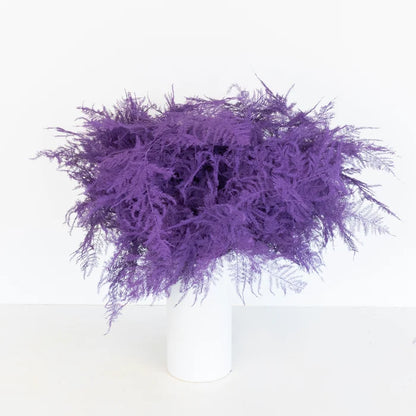 Dark Purple Enhanced Plumosa Fern Greenery Vase - Image