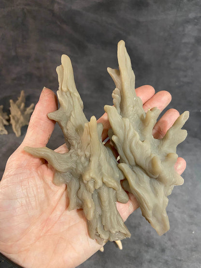 DRYAD HORN- CAST BLANK PAIR