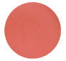 DuWop Pure Venom Plumping Stain