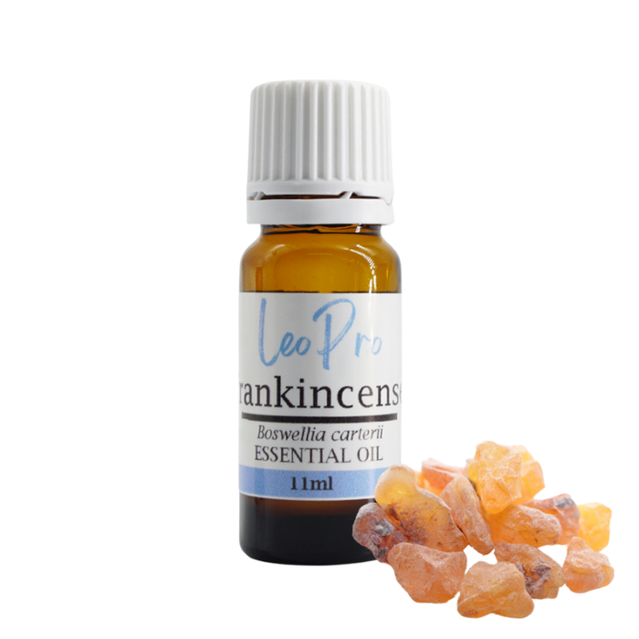 Frankinsence Seratta Essential Oil 11ml - Boswellia Serrata, Conventional
