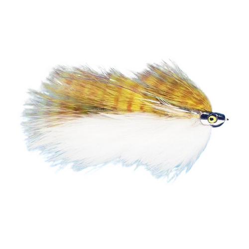 Galloup's Barely Legal (Fish Skull)