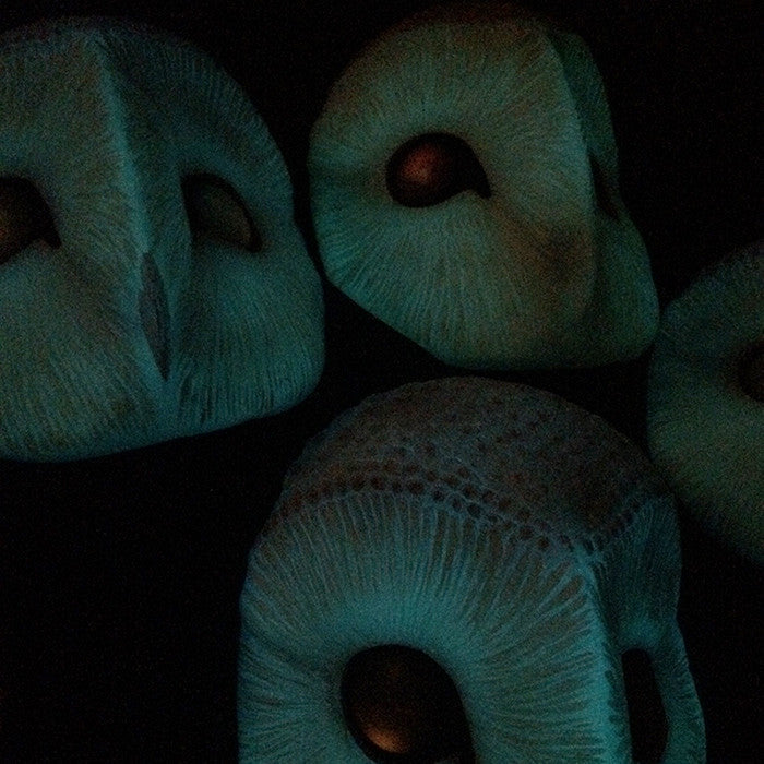 GLOW IN THE DARK IRIDESCENT OWL MASK
