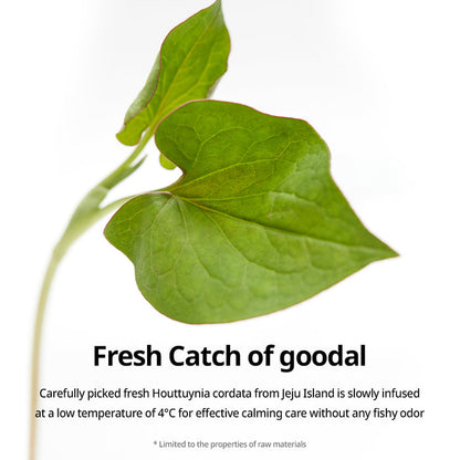 [GOODAL] Houttuynia Cordata Calming Mask (1EA / 5EA) - CLUB CLIO