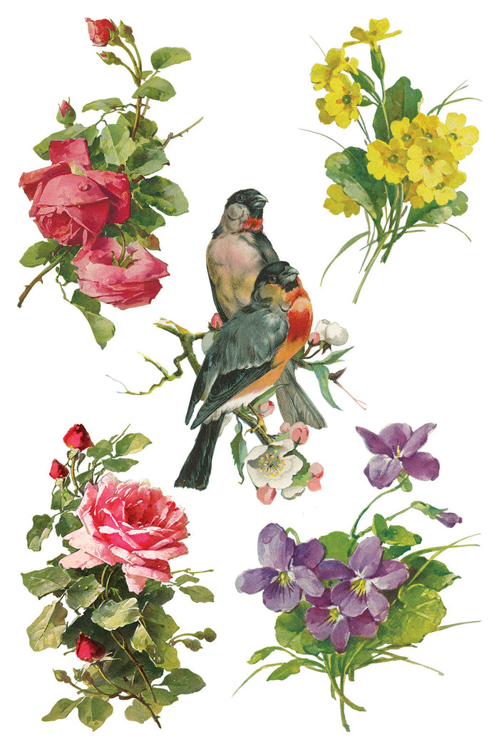 Iron Orchid Designs - Catharina Transfer 8x12