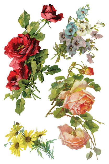 Iron Orchid Designs - Catharina Transfer 8x12