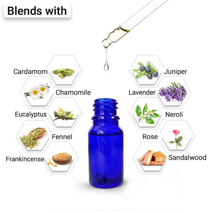 Lemon Essential Oil, Therapeutic, Pure & Natural, Vitamin C, Skin Brightening, Weight Loss, Boosts Immunity  10ml - Keya Seth Aromatherapy