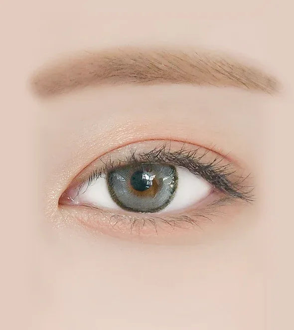 LENSRANG Daylook 1Day Gray - IM OLOLA