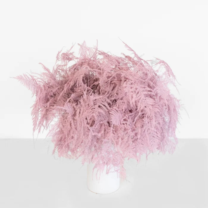 Light Pink Enhanced Plumosa Fern Greenery Vase - Image