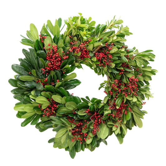Grinch Pittosporum Wreath Close Up - Image