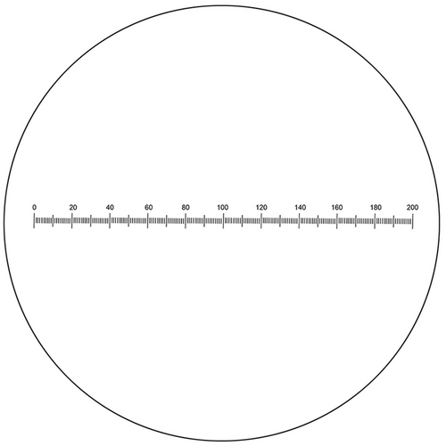 Microscope Eyepiece Reticle Linear Scale Micrometer Ruler Dia. 24mm, 10mm/200 Div., SKU RT20101162, three quarter front view