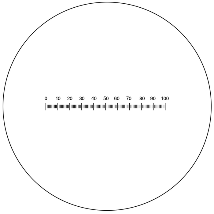 Microscope Eyepiece Reticle Linear Scale Micrometer Ruler Dia. 24mm, 5mm/100 Div., SKU RT20101161, three quarter front view