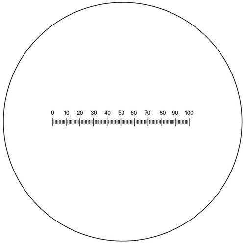 Microscope Eyepiece Reticle Linear Scale Micrometer Ruler Dia. 24mm, 5mm/100 Div., SKU RT20101161, three quarter front view