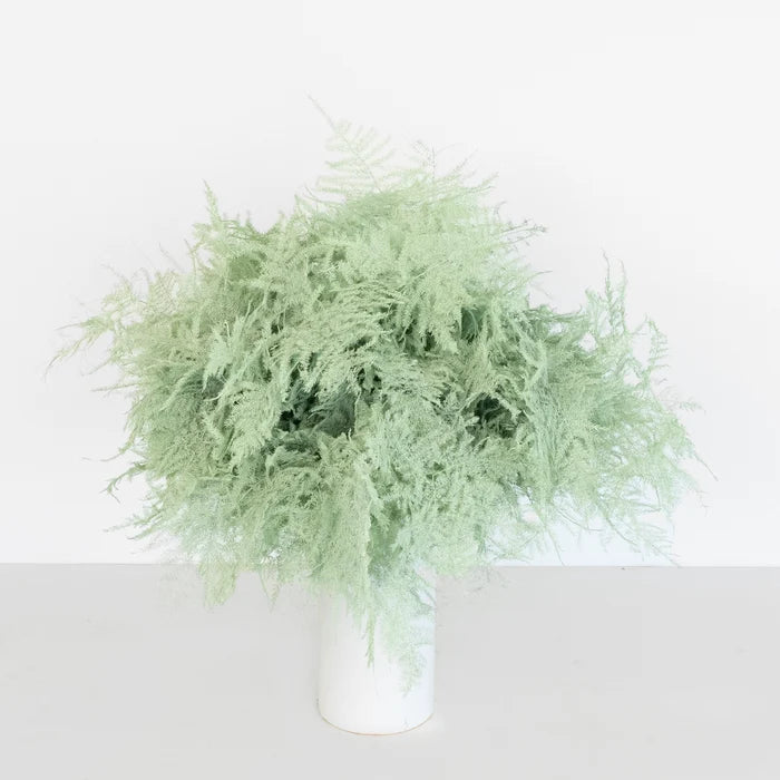 Mint Green Enhanced Plumosa Fern Greenery Vase - Image