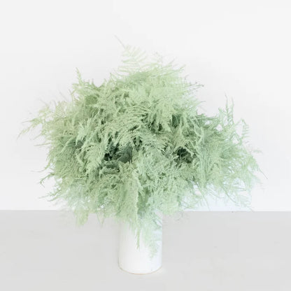 Mint Green Enhanced Plumosa Fern Greenery Vase - Image