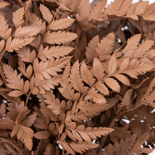 Mocha Mousse Leather Leaf Greenery Close Up - Image