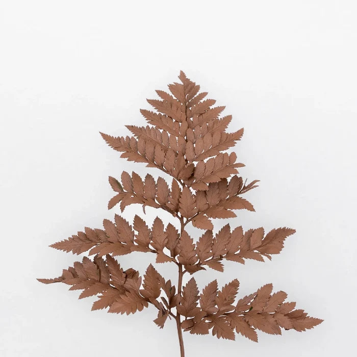 Mocha Mousse Leather Leaf Greenery Stem - Image
