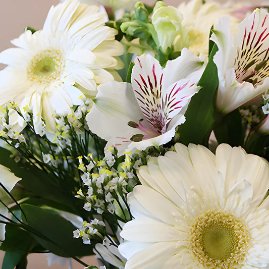 Monochromatic White DIY Flower Kit Up Close